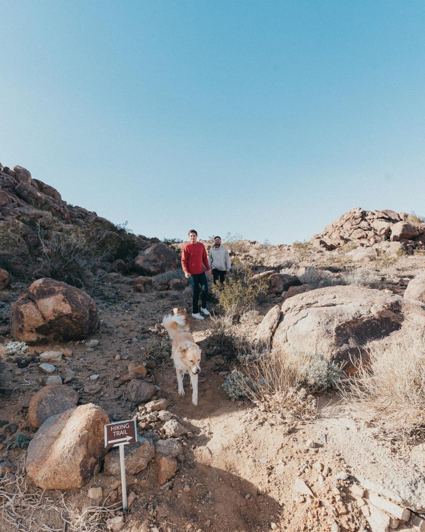 Prism By The Cohost Company Vila Joshua Tree Exterior foto